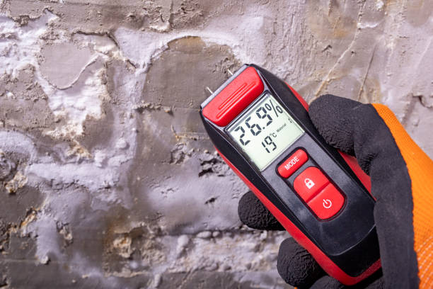 Best Office Mold Removal Services  in Warr Acres, OK