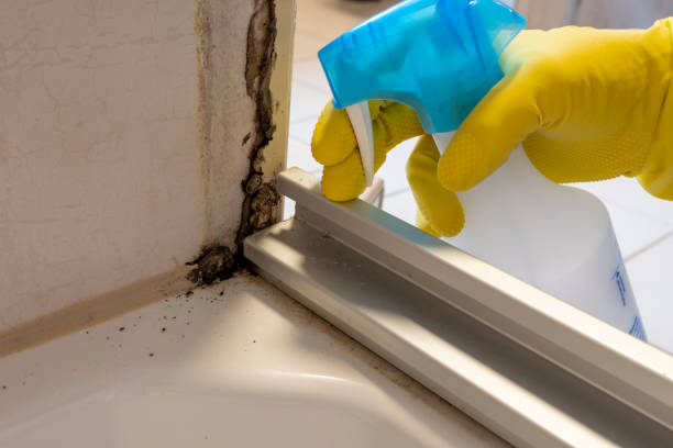 Best Toxic Mold Removal  in Warr Acres, OK