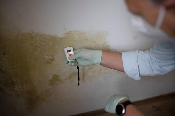 Best Crawl Space Mold Removal  in Warr Acres, OK