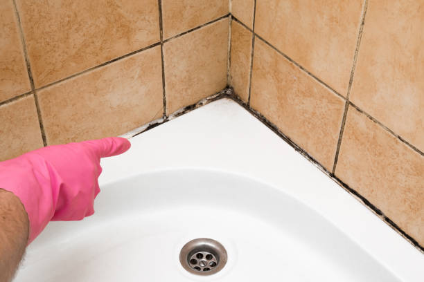 Best Local Mold Removal Service  in Warr Acres, OK